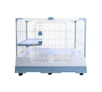 Cage pour Cochon d'Inde, Cage Double Couche pour Lapins, Enclos Intérieur/Extérieur pour Animaux, Tapis De SéCurité et Grillage AdaptéS Aux Petits Animaux(Blue)