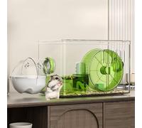 Cage pour cochon d'Inde et lapin, cage à 2 couches, entièrement transparente pour hamster, gerbilles pour animal domestique, cage spacieuse pour hamster, petit animal avec accessoires (vert, 31 x 21 x