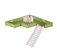 Cage pour hamster - Gym de jeu sûr avec échelle d'escalade, dispose d'une construction en polymère haute densité sans éclats pour éviter les blessures dues aux éclats, base antidérapante | Habitat de