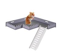 Cage pour hamster - Gym de jeu sûr avec échelle d'escalade, dispose d'une construction en polymère haute densité sans éclats pour éviter les blessures dues aux éclats, base antidérapante | Habitat de