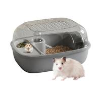 Cage pour hamster - PP - 31 x 23,5 x 16 cm - Avec roue et accessoires - Centre d'activité transparent à deux niveaux - Espace de vie transparent pour souris d'animaux domestiques - Maison sûre à