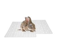 Cage Tapis Dur Universel Petits Animaux Animaux Grilles AntideRapant En Plastique Sain Anti Morsure Coussin Lapin Pied Tapis Souris
