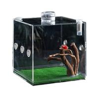 Cage transparente pour reptiles, enclos spacieux pour petits animaux de compagnie avec ventilation pour petits animaux de compagnie, terre cuite acrylique pour la croissance des araignées, petit
