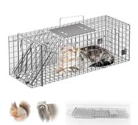 Cage Trappe Chat Errant 80cm, Piège d'animaux Cage Vivant Pliable Grand Piège De Raccoon Sauvage pour Lapins, Cachot De Terre, Skunk, Écureuil