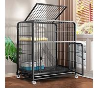 Cages pour Chats D'Intérieur, Enclos pour Chat, Cage pour Chinchilla, Cages pour Petits Animaux avec Roues Et Échelle, Enclos pour Animaux De Compagnie, Maison Adaptée Aux Furets, Lapins Et Chinchil