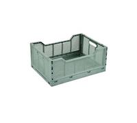 Homea - Cagette pliable FOLDY - Taille L - Sauge - Foldy Douceur d'intérieur G