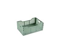 Homea - Cagette pliable FOLDY - Taille M - Sauge - Foldy Douceur d'intérieur G