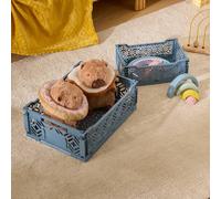 Cagette pliante - arry bleu TU