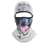 Cagoule de ski 3D en forme d'animal de chat avec oreilles et masque facial, design décalé pour festivals de musique, raves, ski, fêtes d'Halloween et aventure en plein air