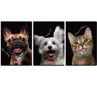 Cahier A4/60K à carreaux avec marge Animaux (5 pcs)