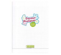 Calligraphe 18187C Un Cahier de Travaux Tratiques Agrafé Incolore (une Marque de Clairefontaine) - A4 21x29,7cm - 96 Pages Grands Carreaux et Unies - Papier Blanc 90 g - Couverture Polypro Transparent