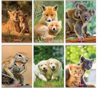 Cahier A5/32K ligne double Animaux (10 exemplaires)