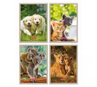 Cahier A7/40K, Grille des animaux (20 exemplaires)