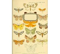 Cahier/Carnet de notes - Papillons de nuit vintage de 105 pages lignées: Cahier à remplir d'Entomologie - Insectes