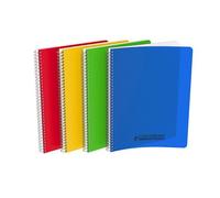 Cahier Conquerant classique a4 petits carreaux 5mm 100 pages reliure spirale couverture polypro coloris assortis