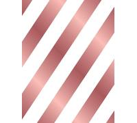 Cahier de 300 Pages Grand Format: Cahier Relié à Couverture Rigide, 300 pages Numérotées avec Sommaire, Petits Carreaux 5x5 mm, Dimensions 20.96 cm x ... les Enseignants, et tous Professionnels.