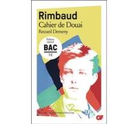 Cahier de Douai - Bac 2026 Arthur Rimbaud (Auteur), Henri Scepi (Edité par), Jean-Luc Steinmetz (Edité par)