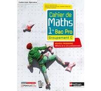 Cahier de maths 1re Bac Pro - Groupement C - (Spirales) - Livre + licence élève - 2020 Jessica Estevez-Brienne (Directeur éditorial), Jessica Estevez-Brienne (Auteur), Isabelle Delaunay (Auteur), Bert