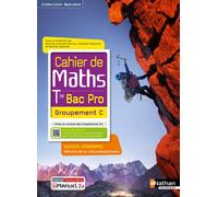 Cahier de maths - Term Bac Pro - Groupement C (Spirales) - Livre + licence élève 2021 Livre avec 1 CD-Rom - Jessica Estevez-Brienne - Nathan Technique - Livre CD-ROM - Scolaire / Universitaire CD