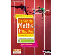 Cahier de Maths - Term Bac Pro - Groupements A et B - Coll. Spirales
