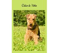 Cahier de Notes: Airedale Terrier. Carnet de notes chien Waterside Terrier. Joli cahier de 100 pages lignées numérotées avec sommaire format 6x9. Joli ... A5, carnet d’écriture, de mots de passe...