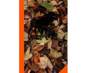 Cahier de Notes Chasseur d’Orignal - Carnet de Chasse Automne & Plein Air: 120 pages lignées pour noter vos observations, stratégies, souvenirs et aventures de chasse