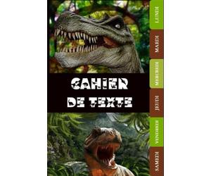 Cahier de Texte: cp, ce1, ce2, cm1 ,cm2,intercalaire,coloriages, pour garçon ou fille,110 pages