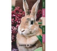 Cahier de texte: Lapin plein d'images de lapin à l’intérieur |cp - ce1 - ce2 - cm1 - cm2 | Cahier de Texte fille ou garçon avec jour de la semaine,coloriage,intercalaire...