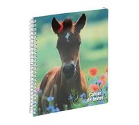 Exacompta - Cahier de textes à spirale Animaux 17x22cm Poulain