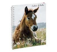 Cahier de textes - Spirale - 17x22cm - Cheval - Scolaire - Pratique - Exacompta