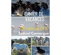 Cahier de Vacances CP vers le ce1 Spécial Camargue: Un cahier de Vacances sur le thème de la Camargue votre enfant va adorer et enrichir son vocabulaire tout en s’amusant.
