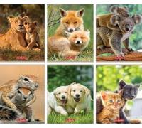 Cahier des animaux A5/32K quadrillé (10 exemplaires)
