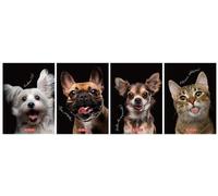 Cahier des animaux A6/80K, à carreaux (5 exemplaires)