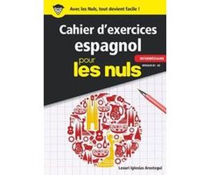 Cahier d'exercices espagnol intermédiaire pour les Nuls Victor Davio (Auteur)