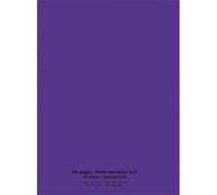 Cahier piqûre - CONQUERANT - 24 x 32 cm - 96 pages - 90 g/m² - petits carreaux