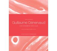 Cahiers de résidence 9 Guillaume Dénervaud à la Cristallerie Saint-Louis - Gaël Charbau - Actes sud - broché - Monographie