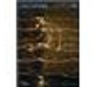 Cahiers du musee national d'art moderne n°90 Jean-Pierre Criqui (Auteur)