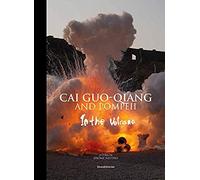 Cai Guo-Qiang And Pompeii