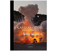 Cai Guo-Qiang And Pompeii