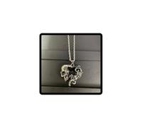 Caiguoer Gothic Black Crystal Collier Pendentif Coeur Argent avec Crâne Rose Halloween Accessoires pour Femmes et Hommes
