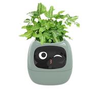 CAIONPLE Ivy Smart Planter Petit pot de fleurs rechargeable par USB pour l'intérieur comme décoration d'intérieur rend la culture des plantes facile et amusante. Vert