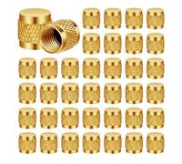 CAIONPLE Lot de 100 bouchons de valve 1/4 pour la technique de refroidissement - Ronds en laiton avec joint torique en néoprène