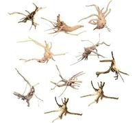 CAIONPLE Mini Bois Flotté pour Aquarium Branches en Bois Naturel DéCorations D'Aquarium Tronc d'arbre Bois Flotté Assorti (10 Pack)