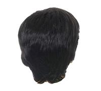 CAIONPLE Mode PerüCke Perruque courte noire droite droite synthétique pour homme Polaire Réaliste Naturel Noir Toupee Perucques
