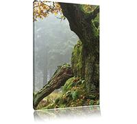 Caipirinha, Format: 80x120 sur image élevée angulaire de toile, XXL énormes Photos complètement encadrées avec civière, impression d'art sur murale avec cadre, moins cher que la peinture ou une peinture à l'huile, pas une affiche ou une bannière,