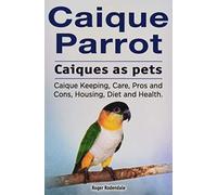 Caique parrot. Caiques as pets. Caique Keeping, Care, Pros and Cons, Housing, Diet and Health.