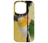 Caique Perroquet Vintage Brush Art Coque pour iPhone 14 Pro