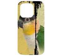 Caique Perroquet Vintage Brush Art Coque pour iPhone 15 Pro