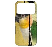 Caique Perroquet Vintage Brush Art Coque pour iPhone 17 Pro