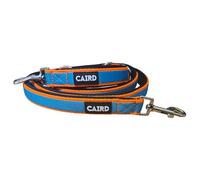 CAIRD Laisse de dressage pour chien à double extrémité, réglable et multipoint de 2 m, avec deux clips de déclenchement, coutures, laisse de dressage rembourrée en nylon robuste pour la marche et